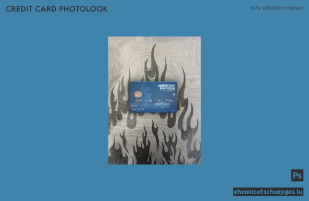 USA Fifth Third Bank AMEX Blue Cash Preferred Card Fotoansicht Beispielvorschau